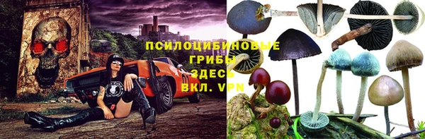индика Армянск