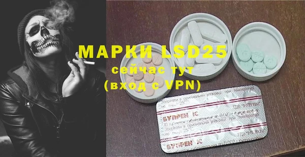 дживик Аркадак