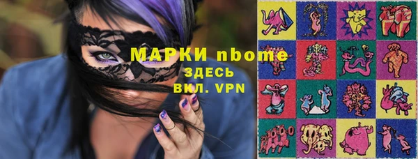 индика Армянск