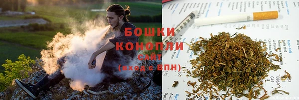 крисы Дедовск