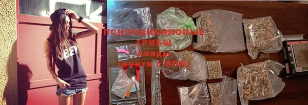 ПСИЛОЦИБИНОВЫЕ ГРИБЫ Данков