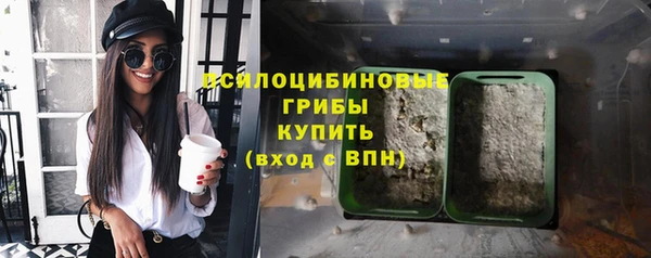 дмт Балахна