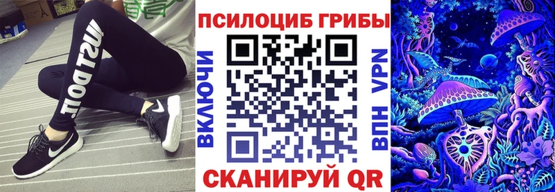 Галлюциногенные грибы Magic Shrooms  наркошоп  Инсар 